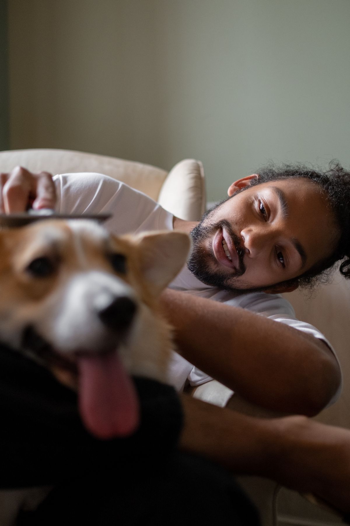 A pet owner brushing a happy dog at home
